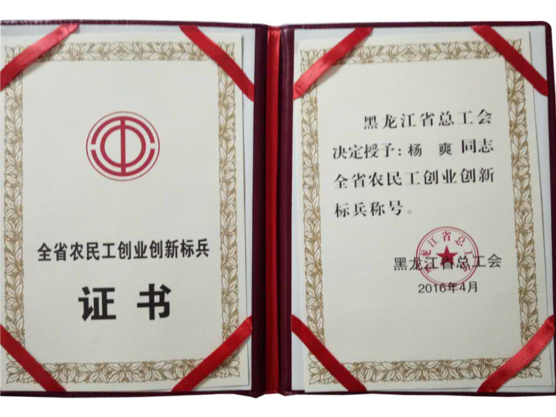 2016.4黑龙江省总工会授予全省农民工创业创新标兵称号